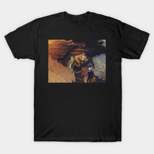 Standing In History T-Shirt